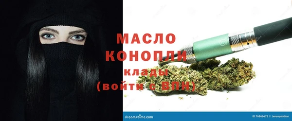 соль ск Ельня