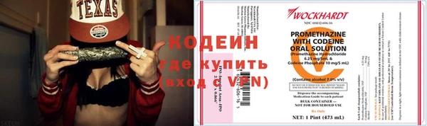 прущие грибы Дмитров