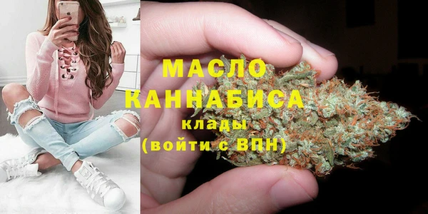 меф Дмитриев