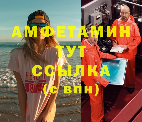соль ск Ельня