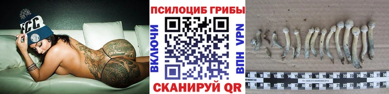 Псилоцибиновые грибы Magic Shrooms  Ветлуга 